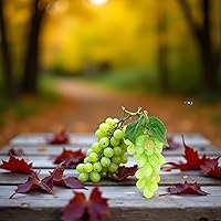 WLngtv Green Artificial Grapes Bunch - Realistic Fake Hanging Faux Fruit for Kitchen Decor, Table Centerpieces & Home Ornaments
