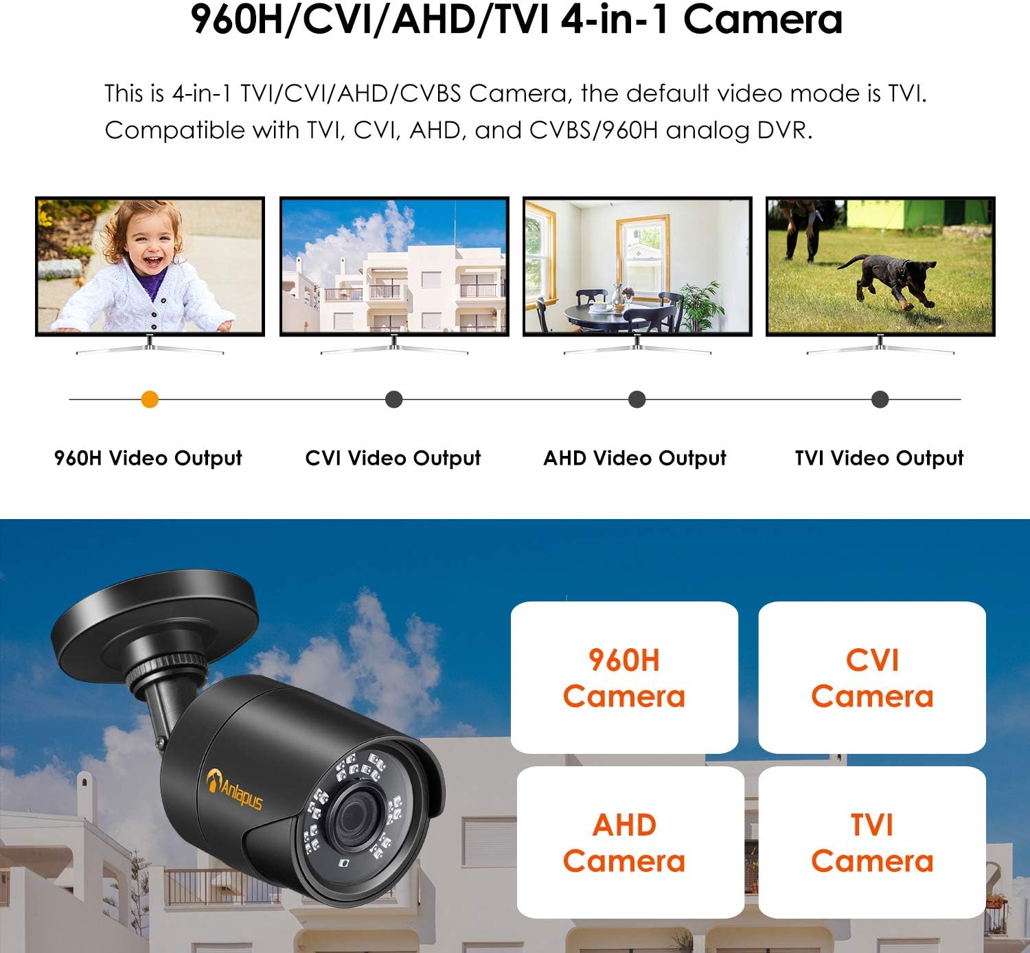 Anlapus 4-in-1 Camera compatibility with different video outputs