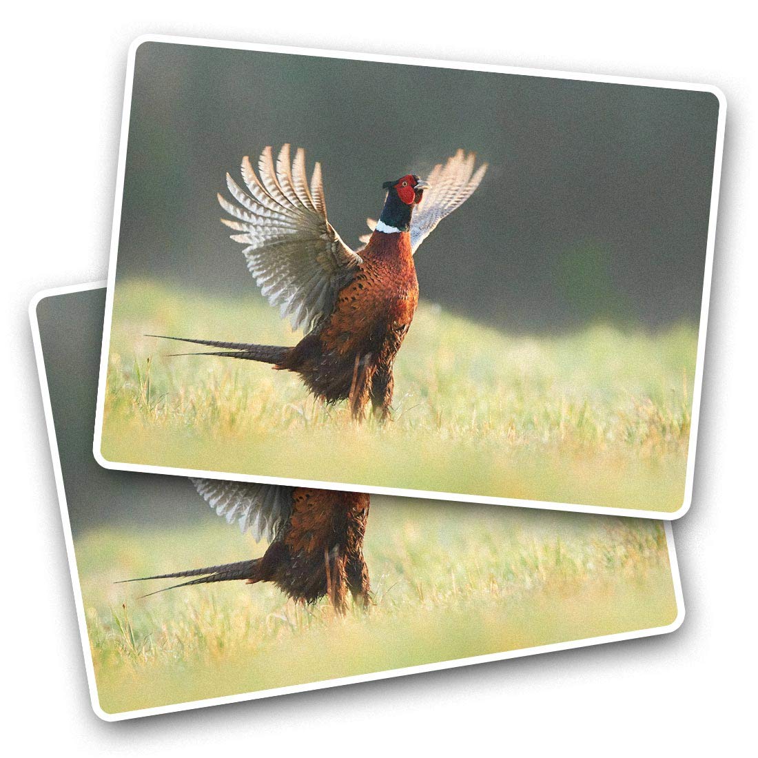 Destination Vinyl Ltd Boys Multi Rectangle Stickers(Set Of 2) 7.5Cm - Ringneck Pheasant Bird Fun Decals For Laptops,Tablets,Luggage,Scrap Booking,Fridges, #45660