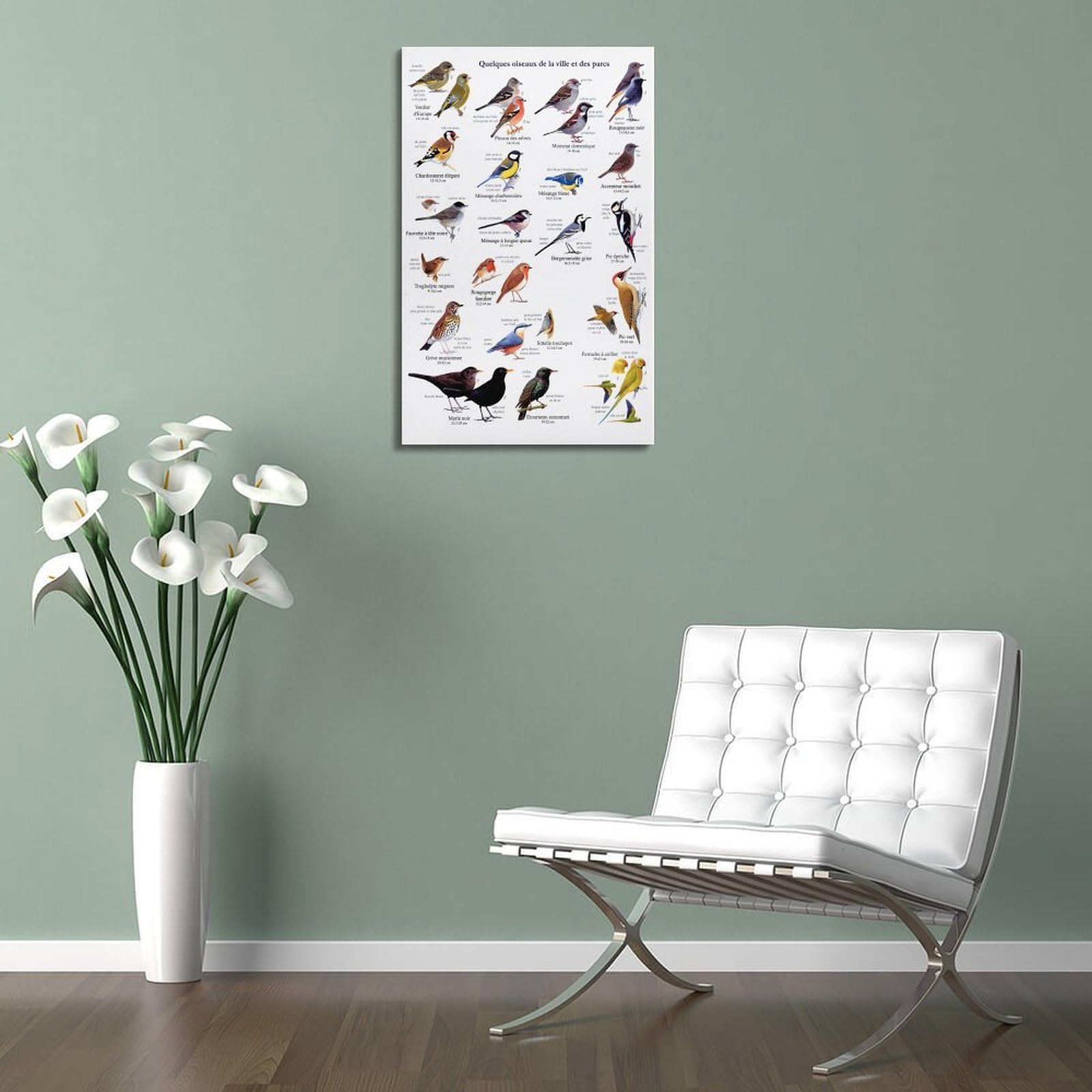 OKNGB Kinder-Zoologie-Pädagogisches Poster, Vogelführer-Poster, dekorative Malerei, Leinwand, Wandposter und Kunstdruck, moderne Familienschlafzimmer-Dekoration, Poster, 60 x 90 cm