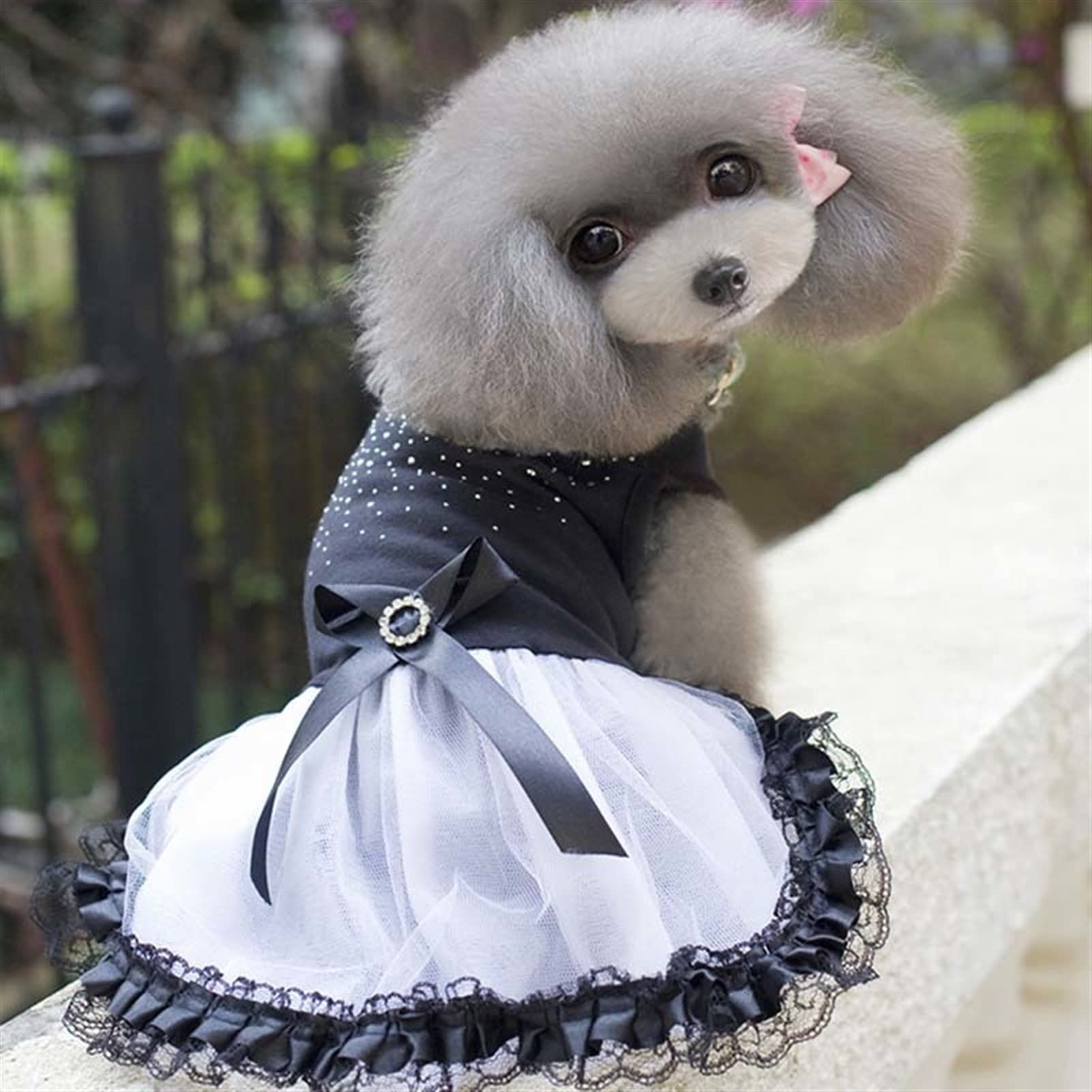 2-teiliges Hundekleid Für Kleine Hunde – Mit Rüschen & Tüll – Niedliches Outfit Für Chihuahua, Yorkie & Mehr