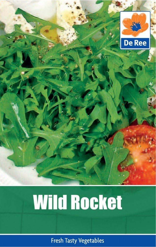 2 Packs of Wild Rocket Vegetable Seeds, Approximately 535 Seeds per Pack, 1070 in Total