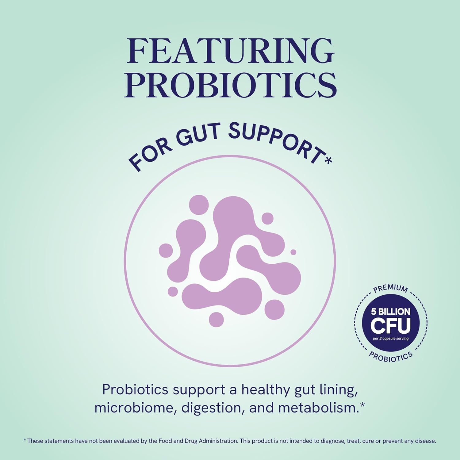 GLP-1 Support for Women | Nutritional Support with Probiotics, Berberine, Cinnamon & More | GLP 1 Supplement for Healthy GLP1 Activity, Digestive Health & Metabolic Balance | Non-GMO | 60 Ct. - Image 6