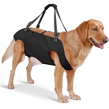 Mayerzon Full Body Dog Lift Harness, Support Senior & Disabled Dogs Walking
