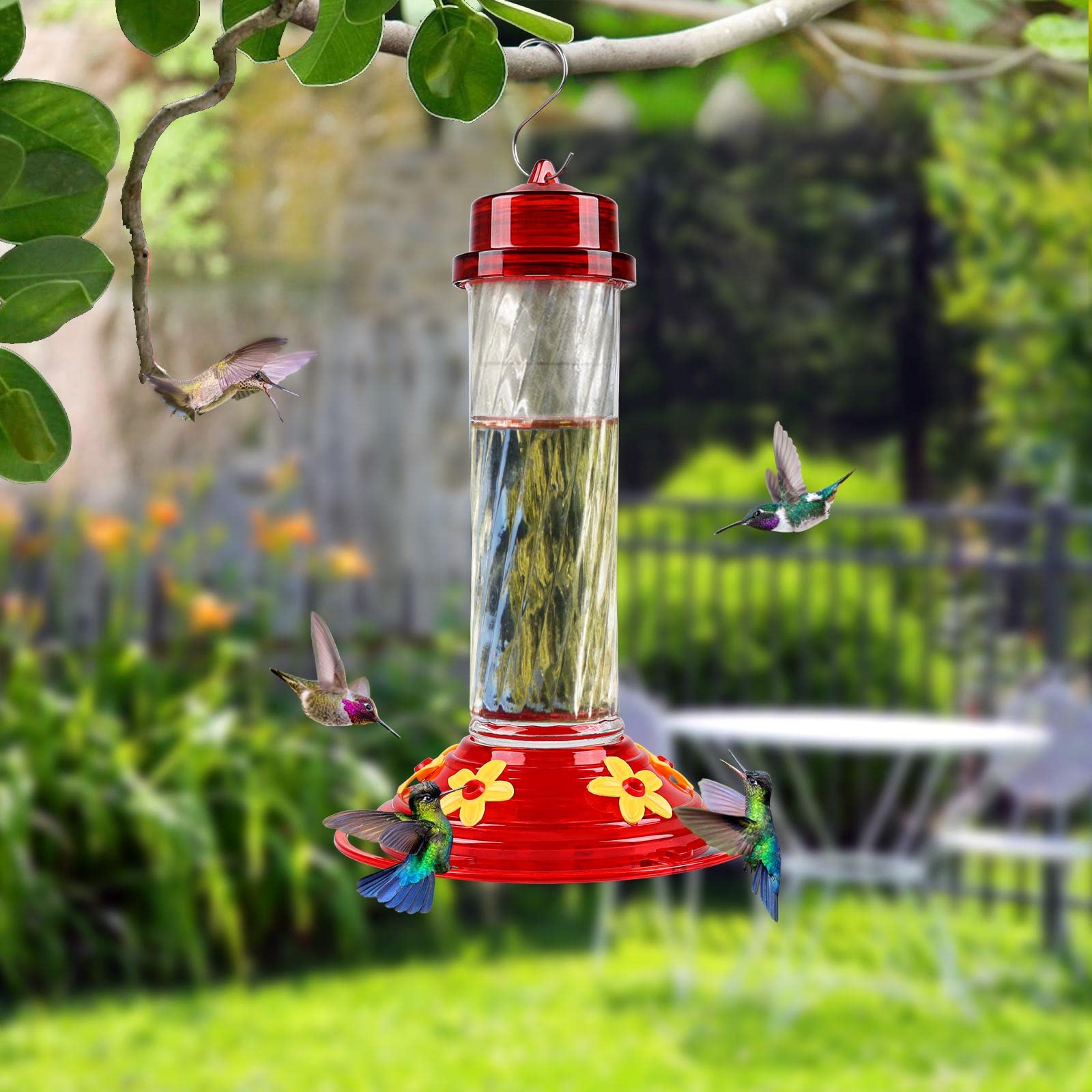 BOLITE Hummingbird Feeder, 2 Pack Glass Hummingbird Feeders for Outdoors Hanging, 5 Feeding Ports, 15 Ounces, 18054, Clear