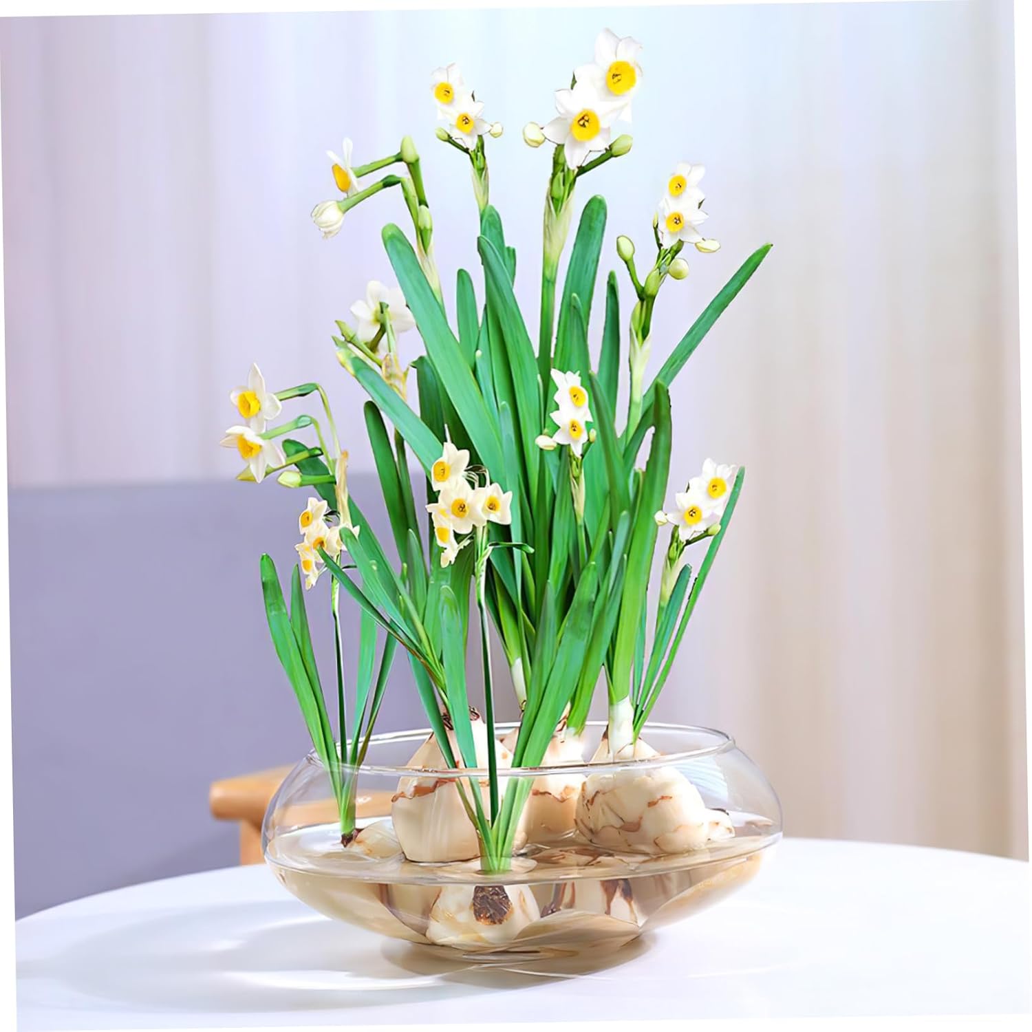 2pcs Multi-Function Transparent Aquarium Tank Betta Desktop Decor Plastic Fish Bowl for Office Home Use Creative Flowerpot Decorative Fish Tank