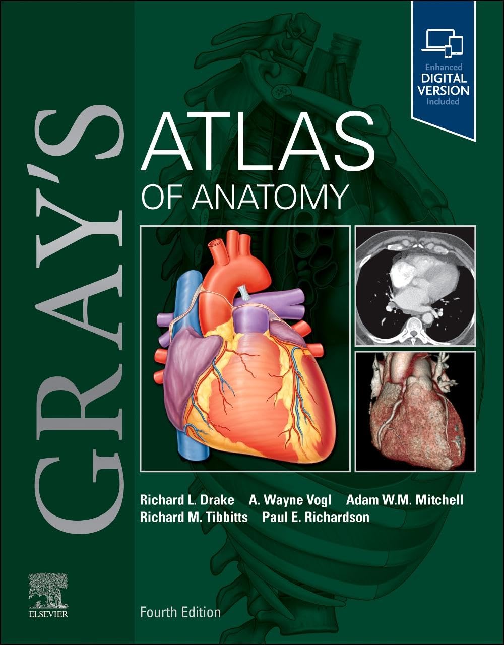 Gray's Atlas of Anatomy      4th Edition