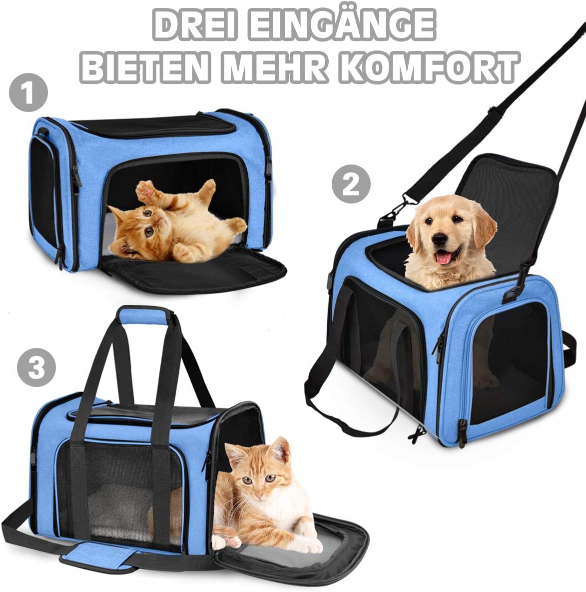 Szállító box belső kialakítása és párnázása