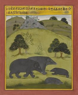 Posterazzi EVCHISL041EC543H Poster Print by Anonymous South Asian Artist C. 1715-25 Gouache Painting. Illustration From The Book Of Dream Interpretations. (Bsloc_2016_1_289), (18 x 24)