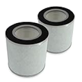 Replacement True HEPA Filters Compatible with Bagotte BAP30 Air Purifier, H13 4-Stage Filtration Activated carbon 2-IN-1 Air Clean Dust VOCs Odor,2-Pack