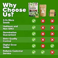 Vista 268 de HOME GROWN Más de 1000 semillas de cilantro para plantar en interiores o exteriores, hierbas tradicionales sin OMG, semillas de plantas de cilantro