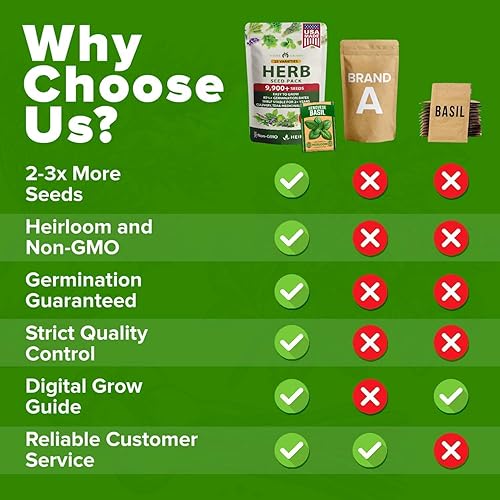 Miniatura 268 de HOME GROWN Más de 1000 semillas de cilantro para plantar en interiores o exteriores, hierbas tradicionales sin OMG, semillas de plantas de cilantro