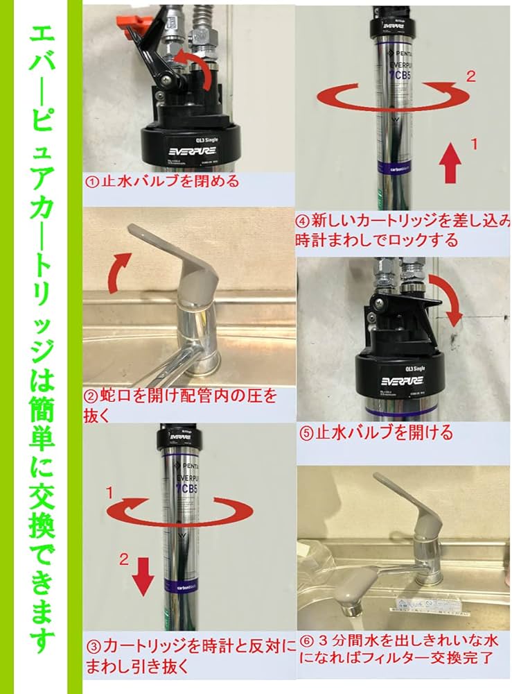 Amazon | エバーピュア浄水器フィルタカートリッジ 2FC | Eau de Vie