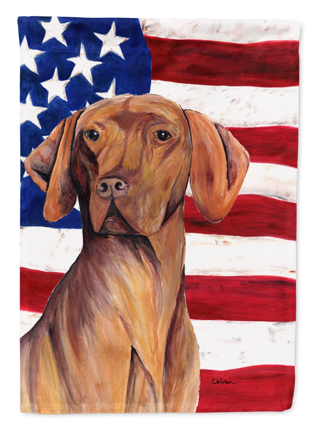 Drapeau Vizsla américain Caroline's Treasures SC9022CHF grand format multicolore pour maison