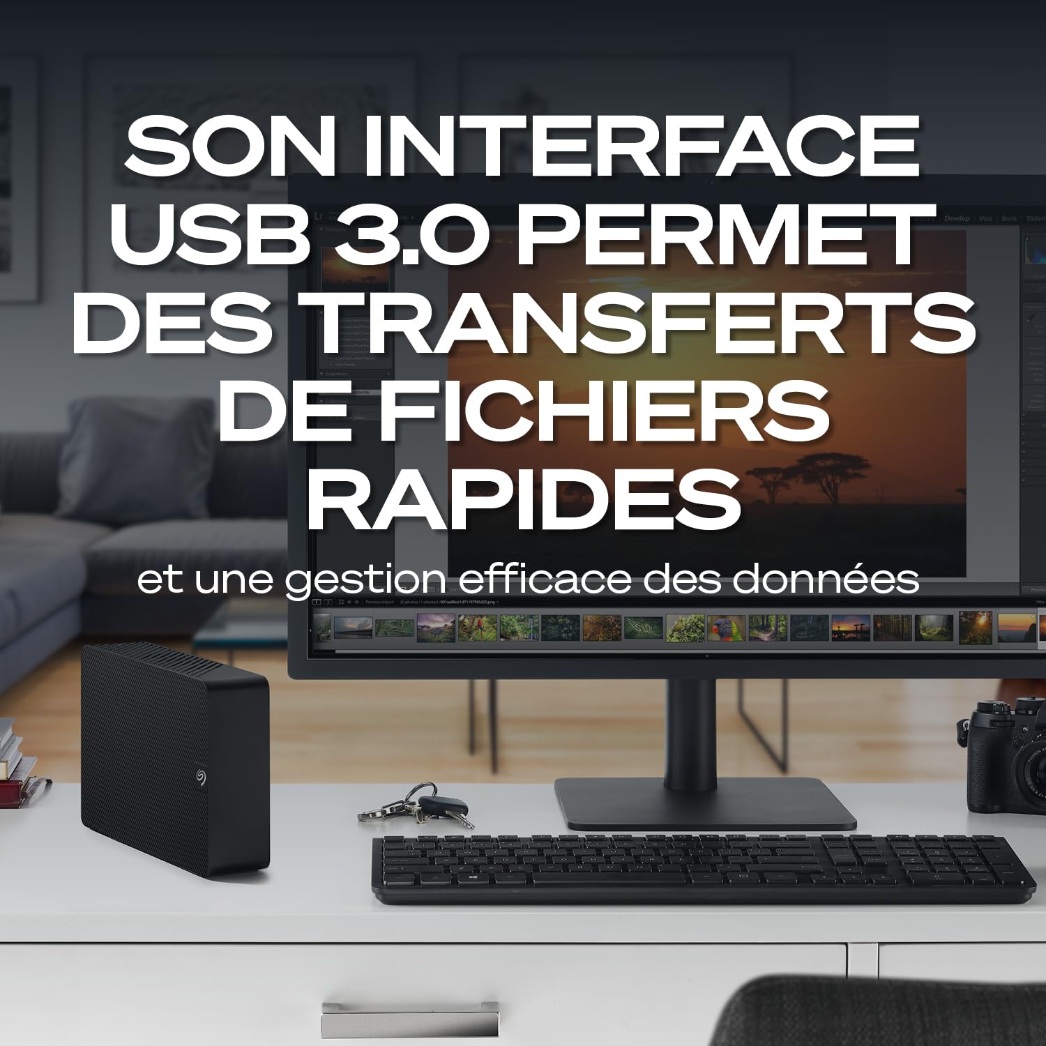 Seagate Expansion Desktop 12To, Disque Dur Externe HDD, 3.5 pouces, USB 3.0, PC & Notebook, Services Rescue (STKP12000400)