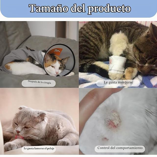 Foto 4 de 7 de Dryxog Mascotas Que Pesen Aproximadamente 8 Libras o Menos Ropa para Gatos Recuperación Cirugía Gatitos…