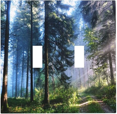 Vista 879 de Placa de pared con interruptor de luz de doble interruptor de pared para niños, diseño de dinosaurio, galaxia, espacio exterior, planeta, nebulosa