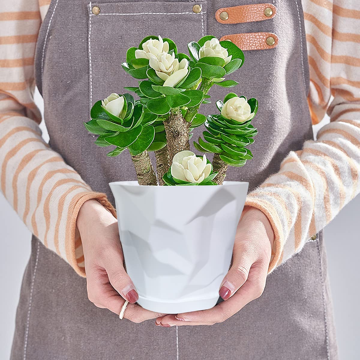 幾何学模様とカラフルな植木鉢セット pothos-969_1.jpg