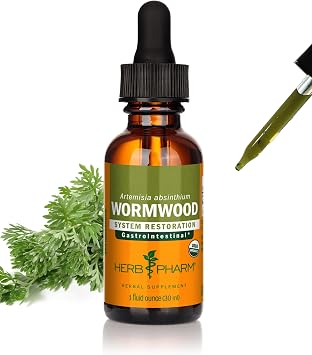 Herb Pharm Wormwood Extract Certified Organic Liquid Herbal Supplement for Digestive Support, Wormwood Herb Extract, 1 fl oz