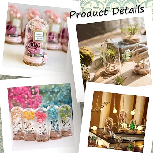 Miniatura 5 de SUNNYCLUE 10 unidades de 2.76 pulgadas, cúpula de cristal Cloche, mini botellas de vidrio, cúpula de exhibición con base de corcho, vitrina para