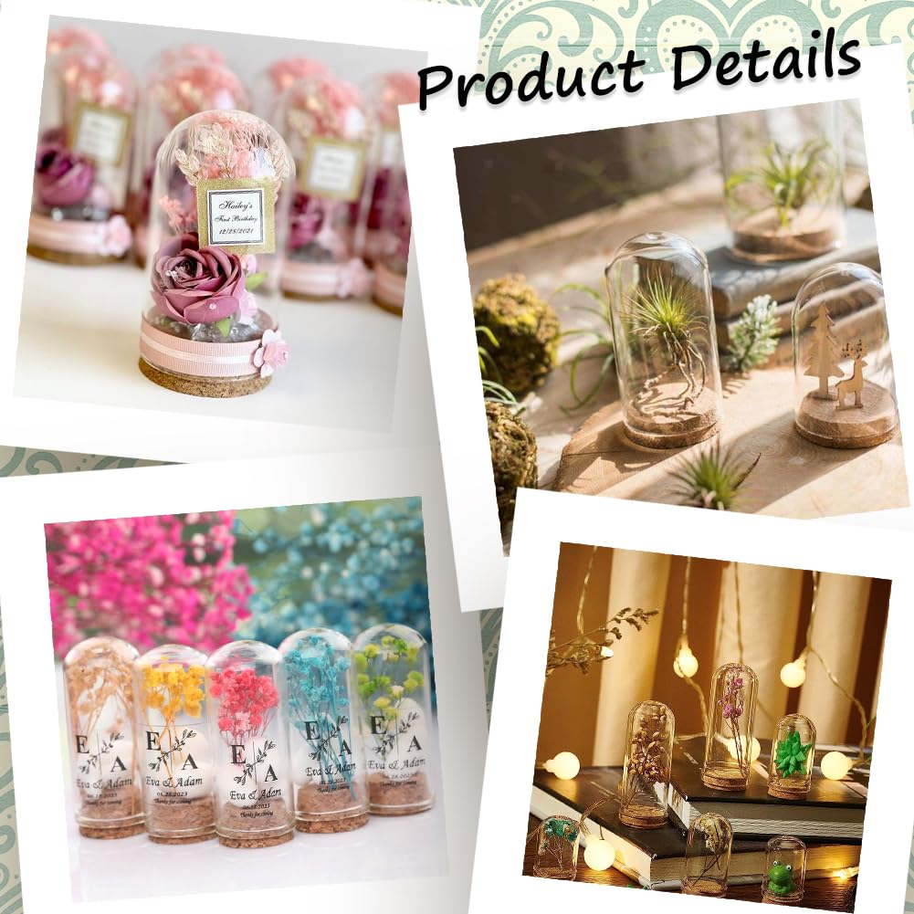 Amazon.co.jp: SUNNYCLUE 1箱10個 70mm ガラス ドーム ガラス瓶 容器