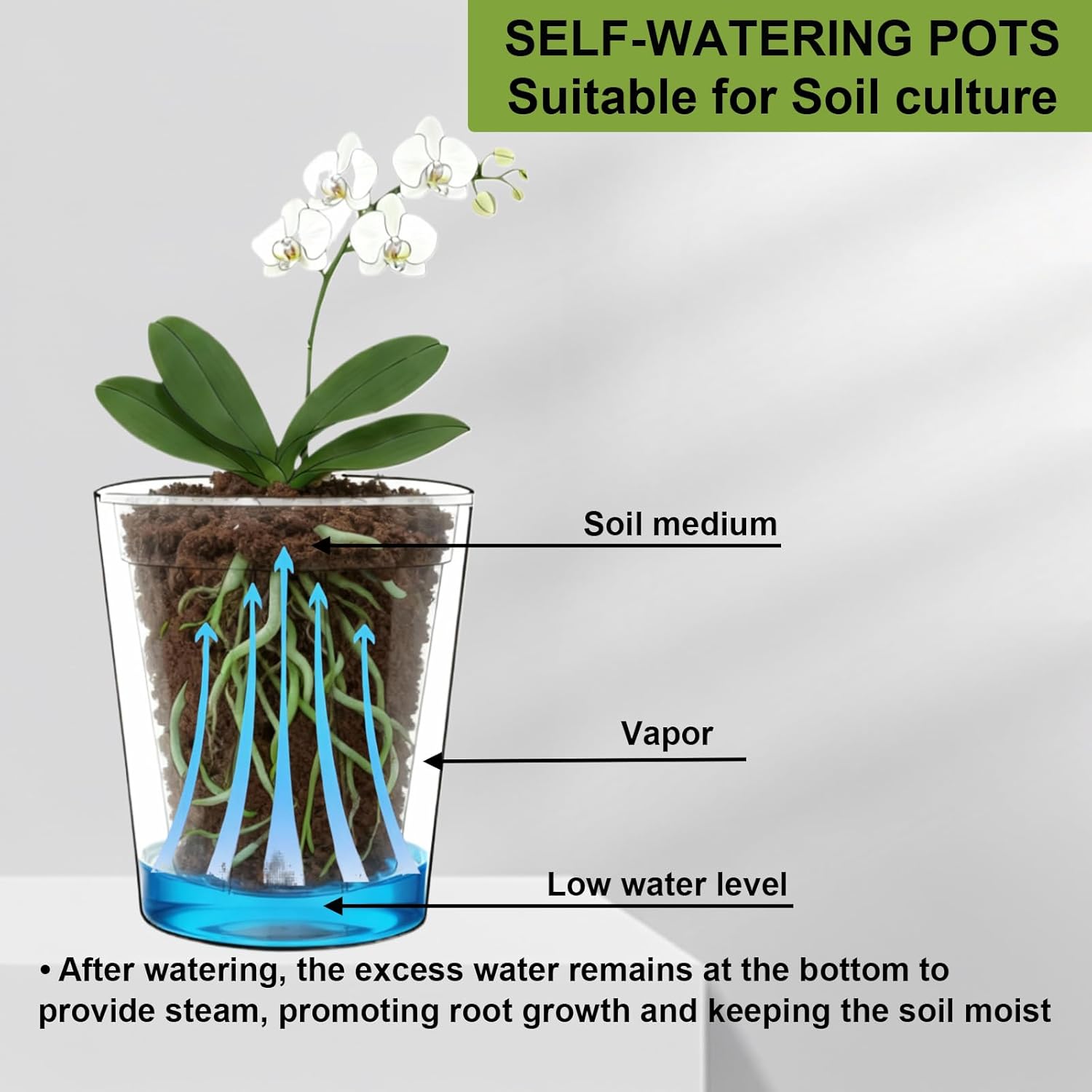 6 Pack of 6in Plastic Cachepot with 6 inch Clear nusery Pot - self Watering Indoor Planter with Drainage for Root Visibility,semi Hydro pots for repotting Monstera,Orchids,Aroid,Black
