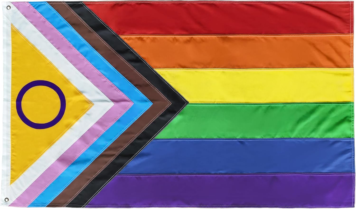 Progress Pride Flag 3x5 Foot Heavyweight LGBTQ Rainbow Lesbian Gay Bisexual Trans Flags with Brass Grommets for Outside Yard Outdoor Lawn