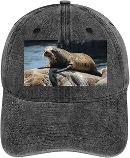 Brown Seal on The Rock Baseball Cap for Women Men Golf Dad Hat Adjustable Classic Baseball Hat Outdoor Sports Caps, Brown Seal on The Rock