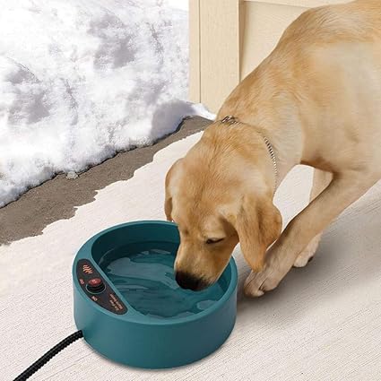 heated dog bowl