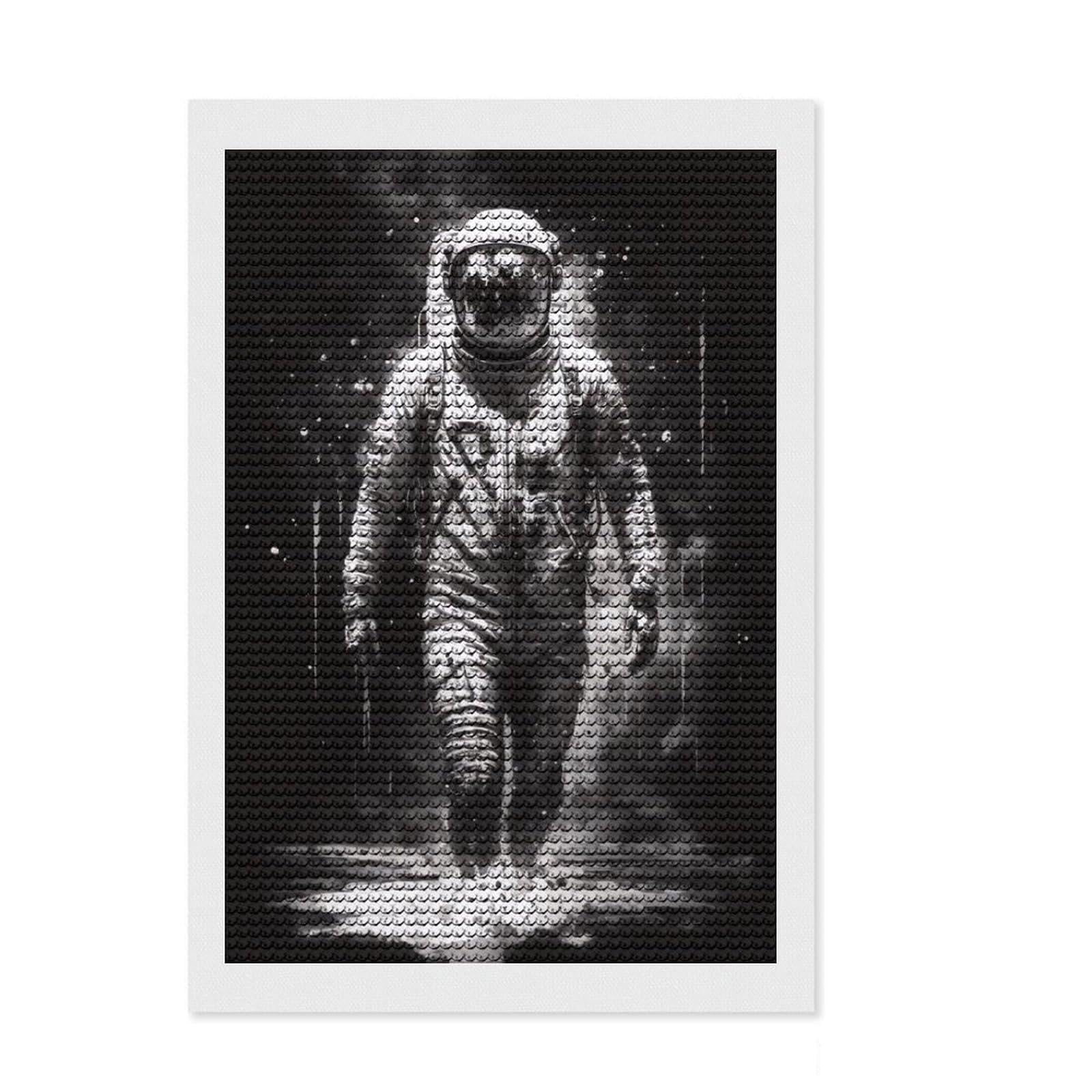 Junmoney in The Shadow of The Stars Diamond Painting Canvas Set 8"x12", Enjoyable At-Home Hobby, Adhesive Canvas, Cosy Home Accent, Christmas Gift