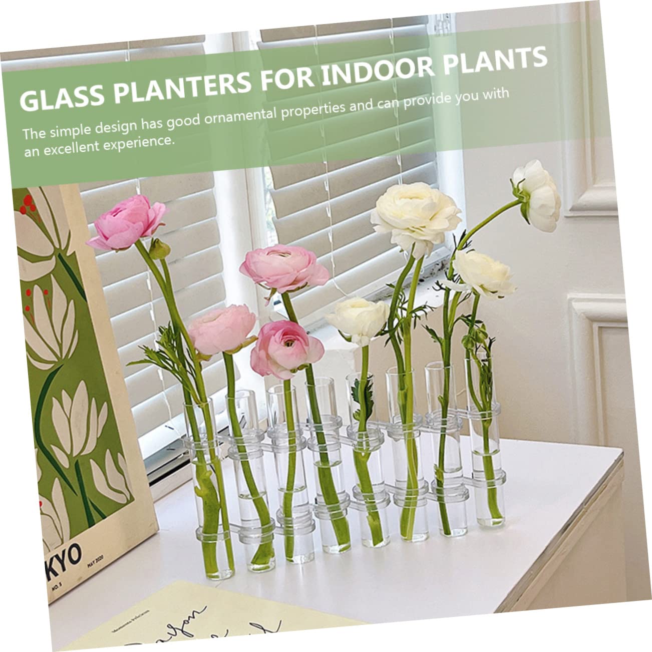 ABOOFAN Vase Hydroponique Verre Transparent avec Support Tubes De Propagation pour Plantes Petits Vases Décoratifs pour Intérieur Et Bureau