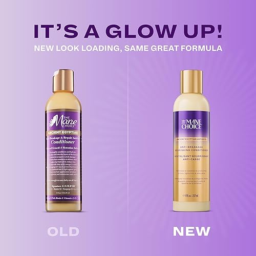 Miniatura 2 de The Mane Choice Ancient Egyptian - Acondicionador antídoto antirotura y reparación para cabello enrollado, ondulado y rizado, hidrata y fortalece tu
