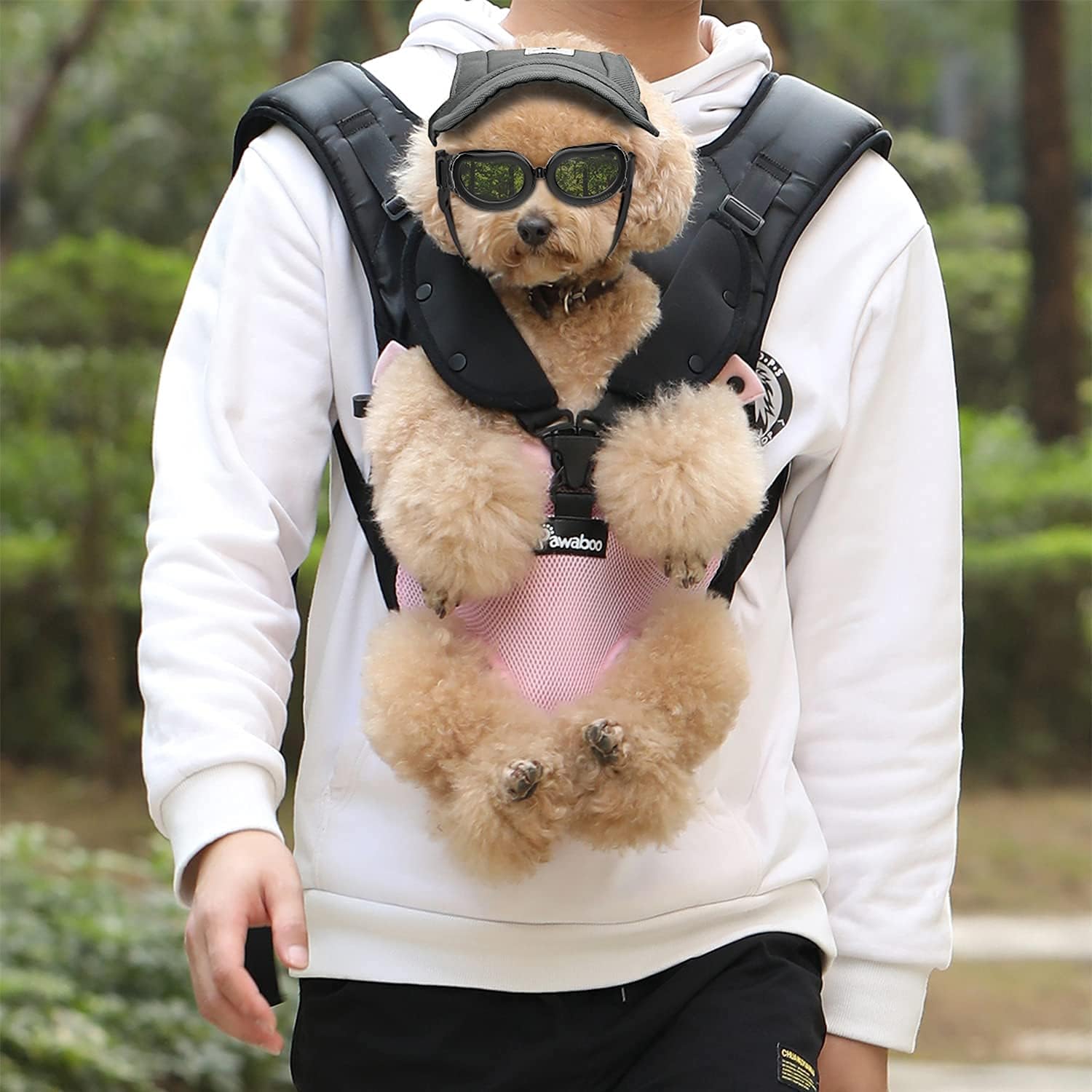 Pawaboo Pet Carrier Backpack M Size Black & Dog Sunglasses for Small Dog