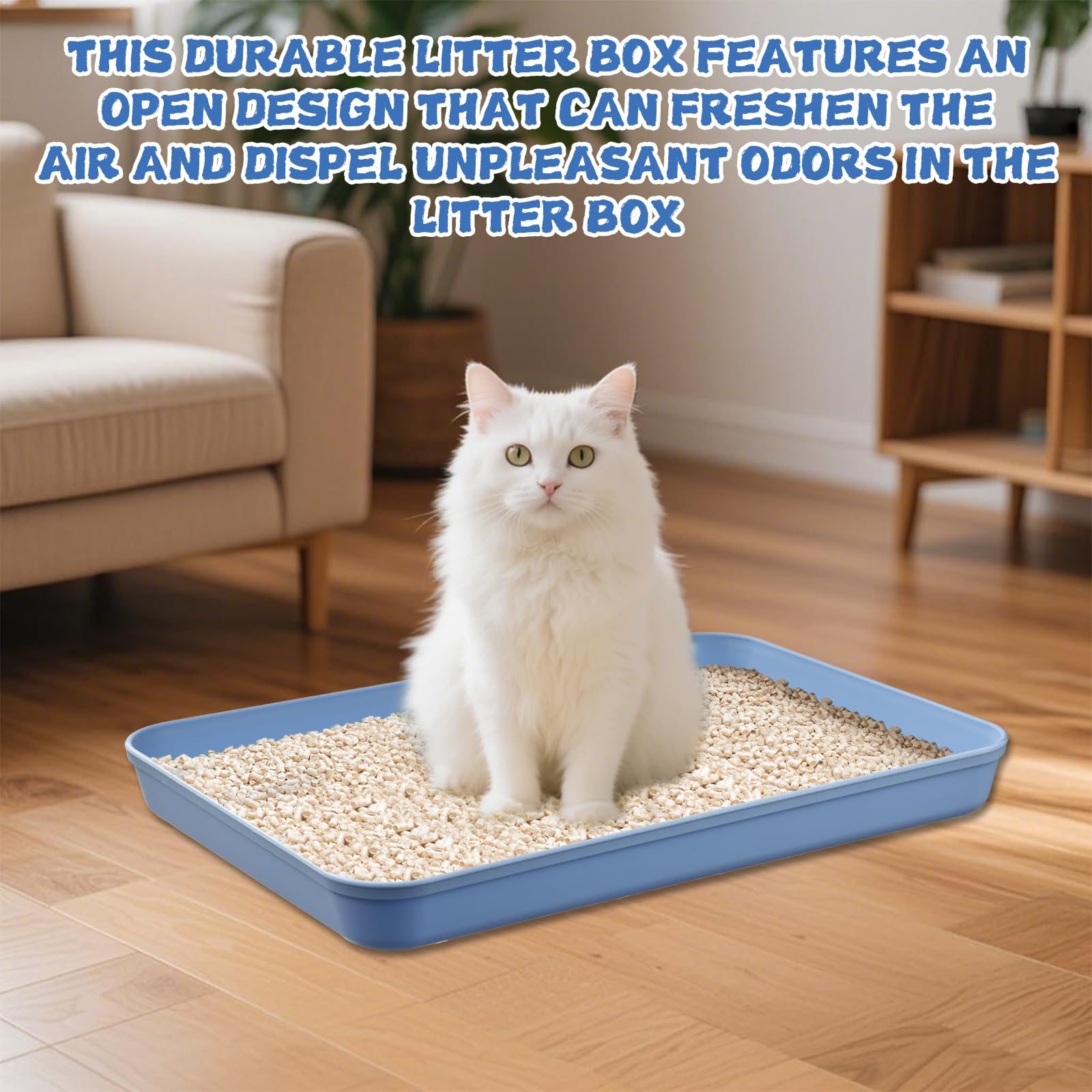 Katzentoilette, mittelgroß, offen, 38,1 x 26,1 x 4,1 cm, Kunststoff, Kätzchentoilette, niedriger Einstieg, Reise-Toilette für Katzen, Welpen, Kaninchen, Meerschweinchen, mehrfarbig, 5 Stück