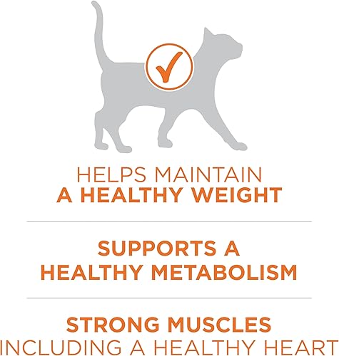 Miniatura 3 de Purina ONE Alto Contenido de Proteínas, Peso Saludable Más Peso Ideal Con Pollo Comida Seca Para Gatos - Bolsa de 3.5 lb