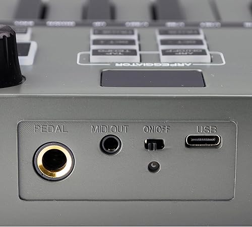 Miniatura 23 de RockJam - Teclado compacto de 61 teclas con soporte para partituras, fuente de alimentación, calcomanías para notas de piano y lecciones de Simply