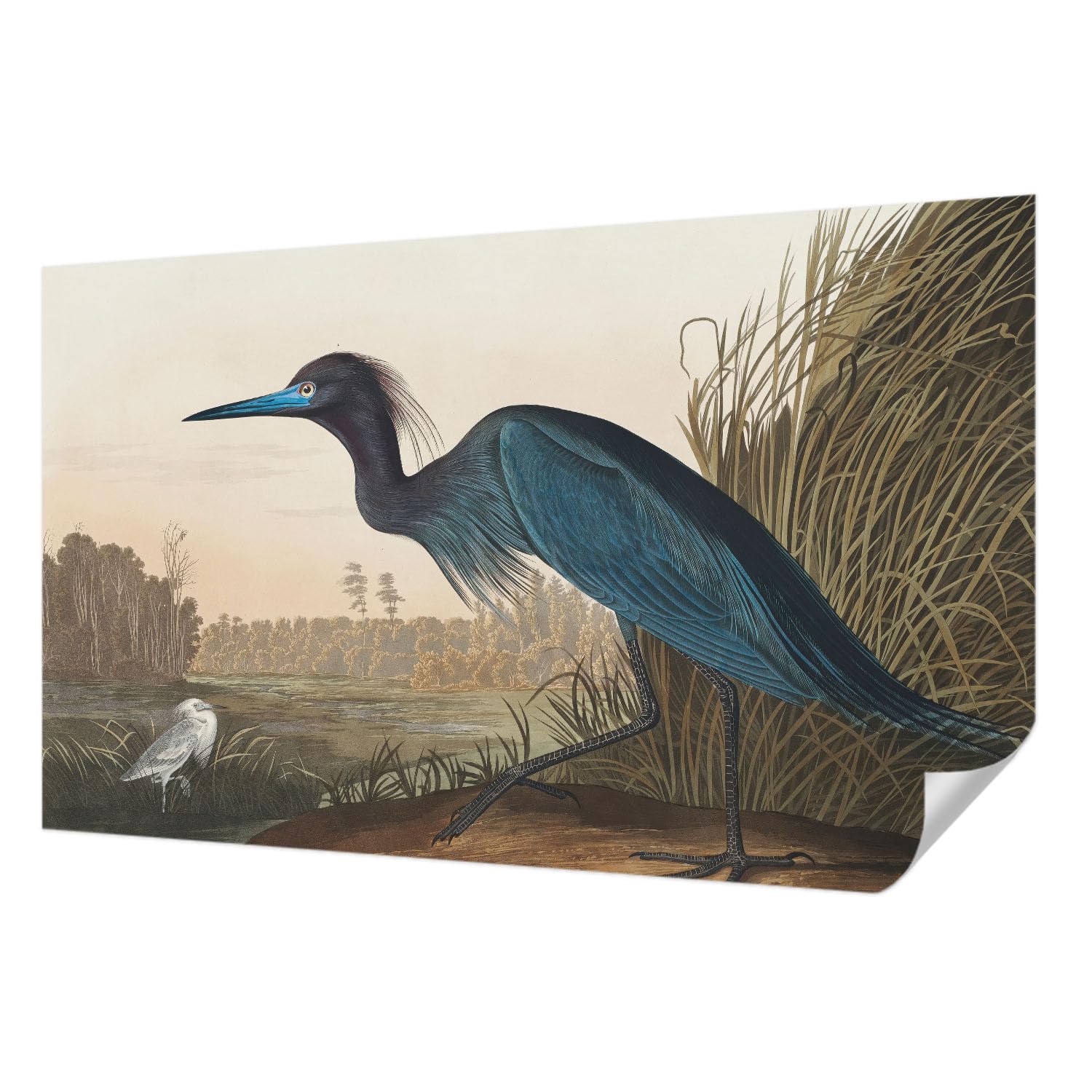 Papier Peint Adhésif de Haute Qualité Tulup décor panoramique 416x254 cm