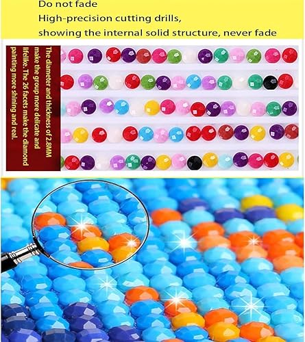 Miniatura 3 de Leatrice Paquete de 6 kits de pintura de diamante, pintura de diamante para adultos, manualidades para adultos, niños y principiantes, paquetes de