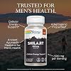 SOLARAY Shilajit 500 mg, PrimaVie (R) Shilajit del Himalaya para hombres, soporte de energía celular adaptogénico, suplemento para la salud masculina, vegano, sin gluten, garantía de 60 días - 30 porciones, 60 cápsulas vegetales 5