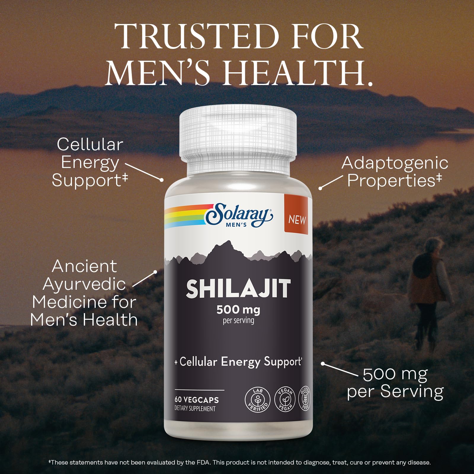 SOLARAY Shilajit 500 mg, PrimaVie (R) Shilajit del Himalaya para hombres, apoyo de energía celular adaptógena, suplemento de salud para hombres, vegano, sin gluten, garantía de 60 días - 30 porciones