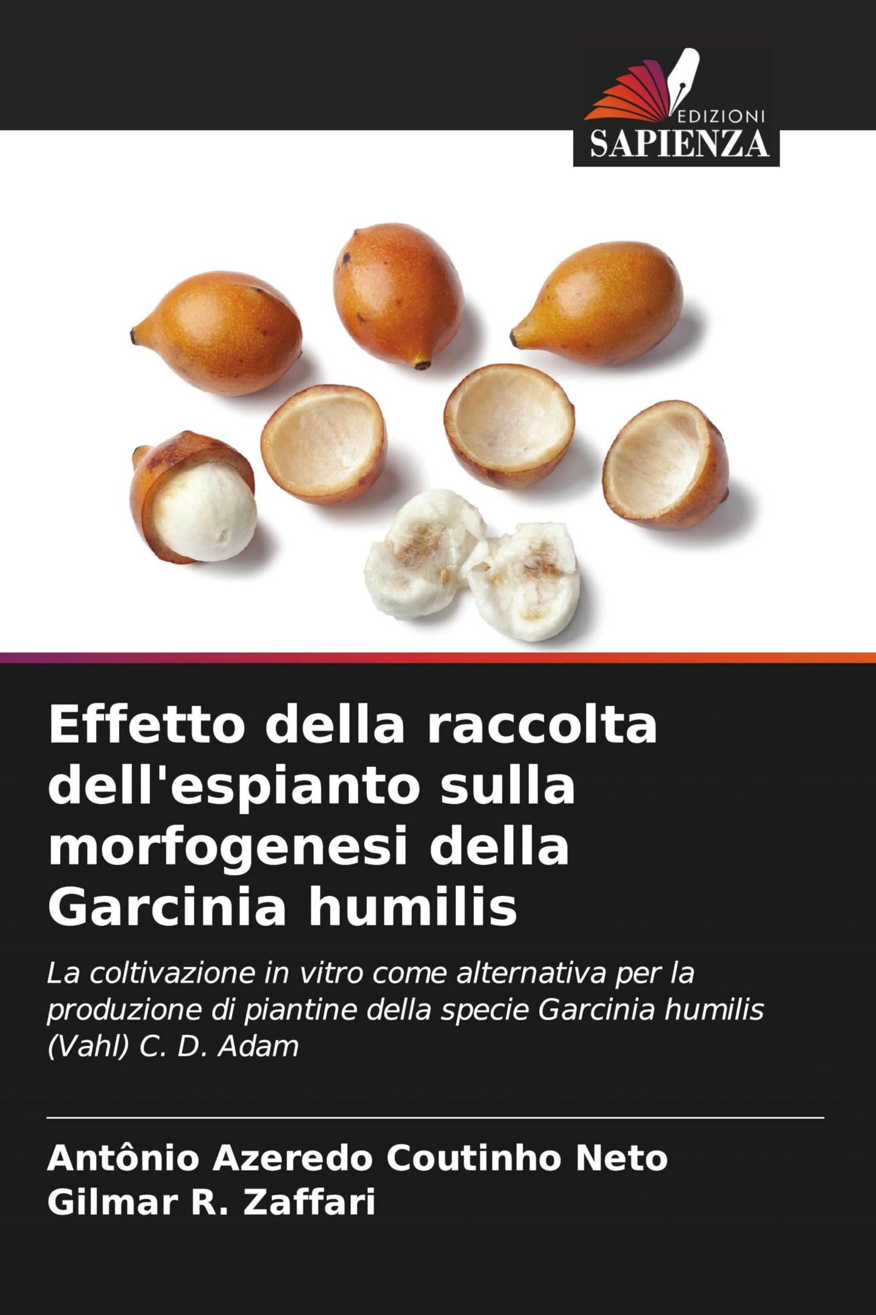 Effetto della raccolta dell'espianto sulla morfogenesi della Garcinia humilis: La coltivazione in vitro come alternativa per la produzione di piantine della specie Garcinia humilis (Vahl) C. D. Adam