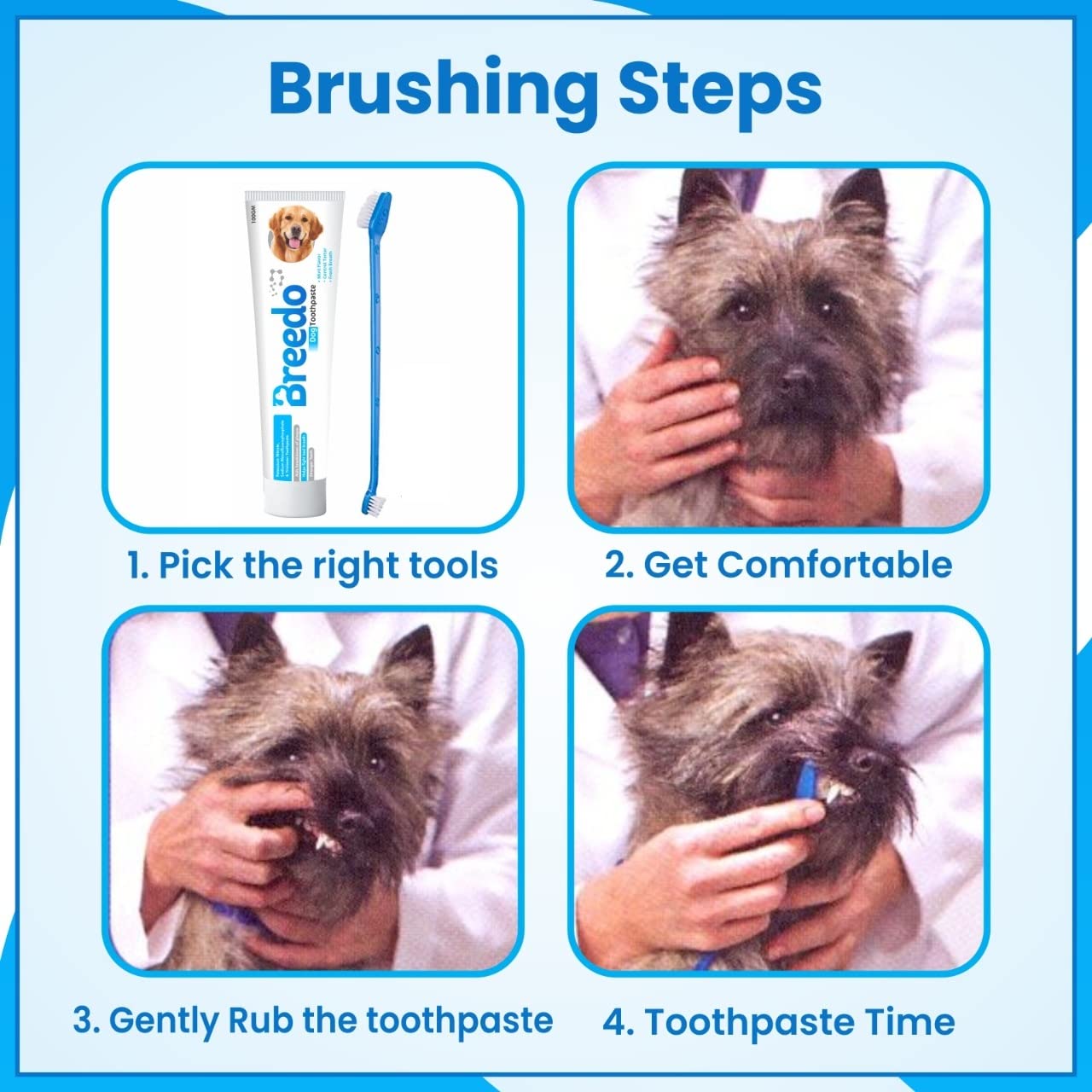 Breedo Cool Mint Toothpaste and 1Pcs Toothbrush Combo for Dogs - 100g | Soothing Mix of Mint and Cinnamon Oil Suitable for dogs and Puppies| Dog Toothpaste| Dog Mouth Freshner. 1