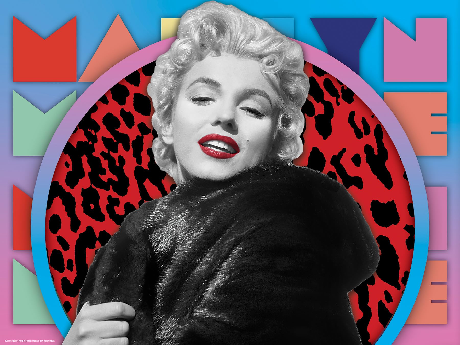Amazon.com: Prime 3D Marilyn Monroe, 500-Piece 3D/2D Jigsaw Puzzle