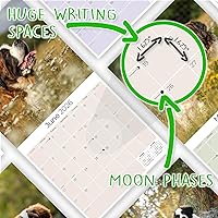 Vista 378 de Razas de Perros 2017