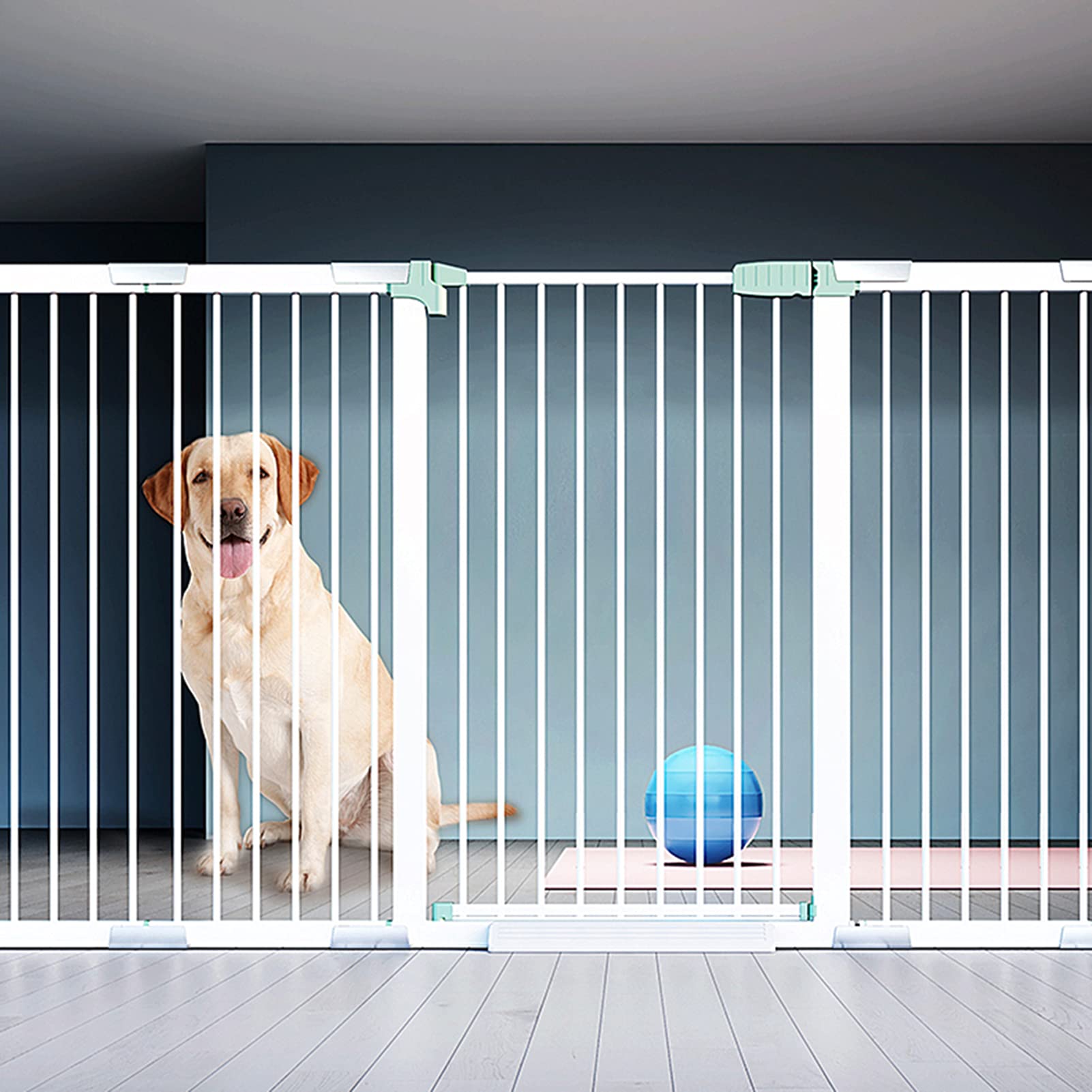 Clôture de protection pour animaux : empêchez les fuites et chutes d'escalier