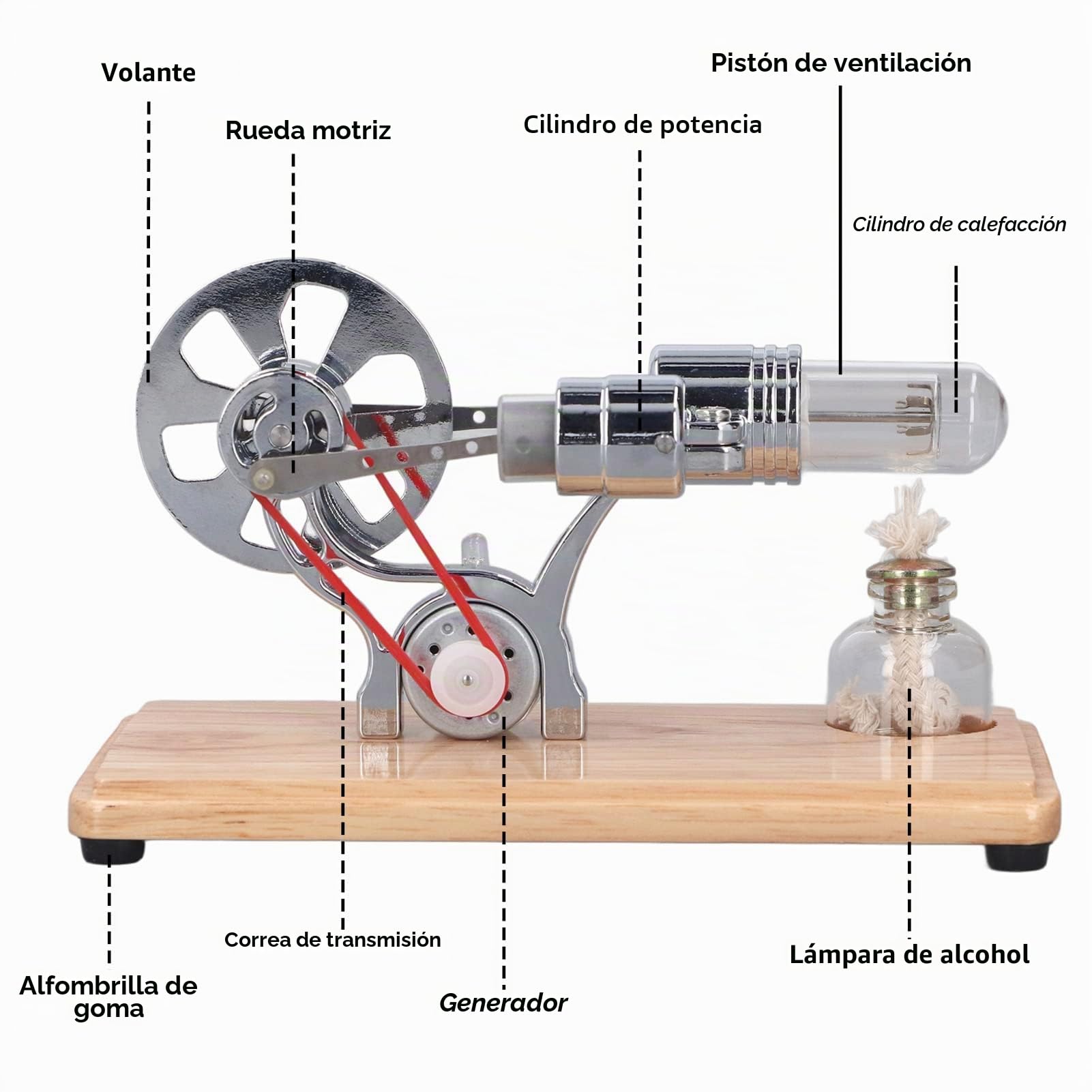 Stirling Motor Maqueta Maqueta de Vapor Motor Stirling Fácil de Usar Multiusos Acero Inoxidable Aleación de Zinc Juguete educativo para experimentos de física Niños y entusiastas de la