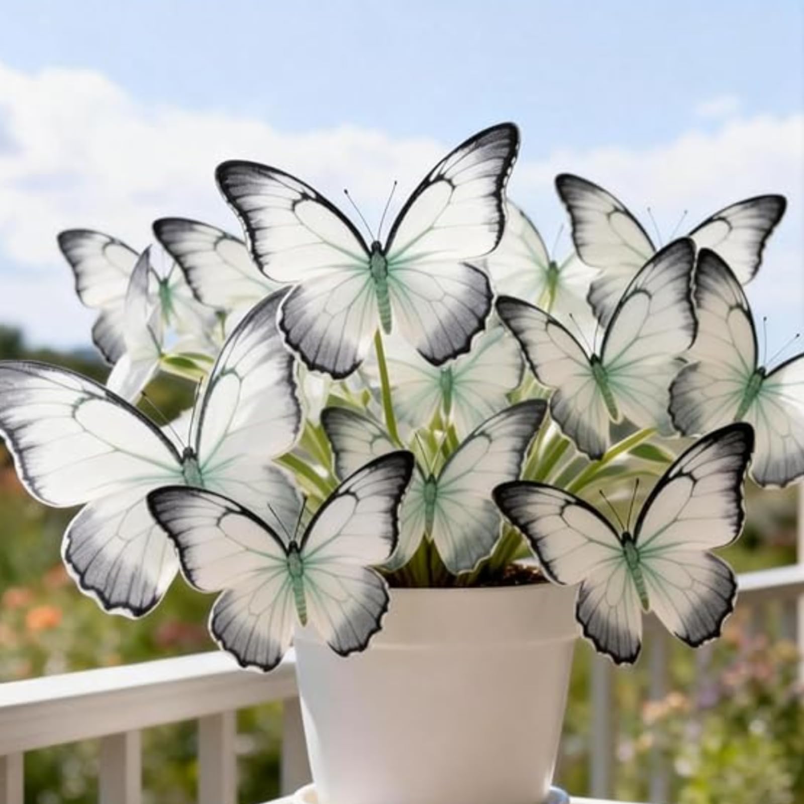 Exquisita Rizoma Hosta/adecuada para plantar al aire libre,Iridescent,Rápido crecimiento,Resistente/Apto para principiantes.-15Rizoma-G