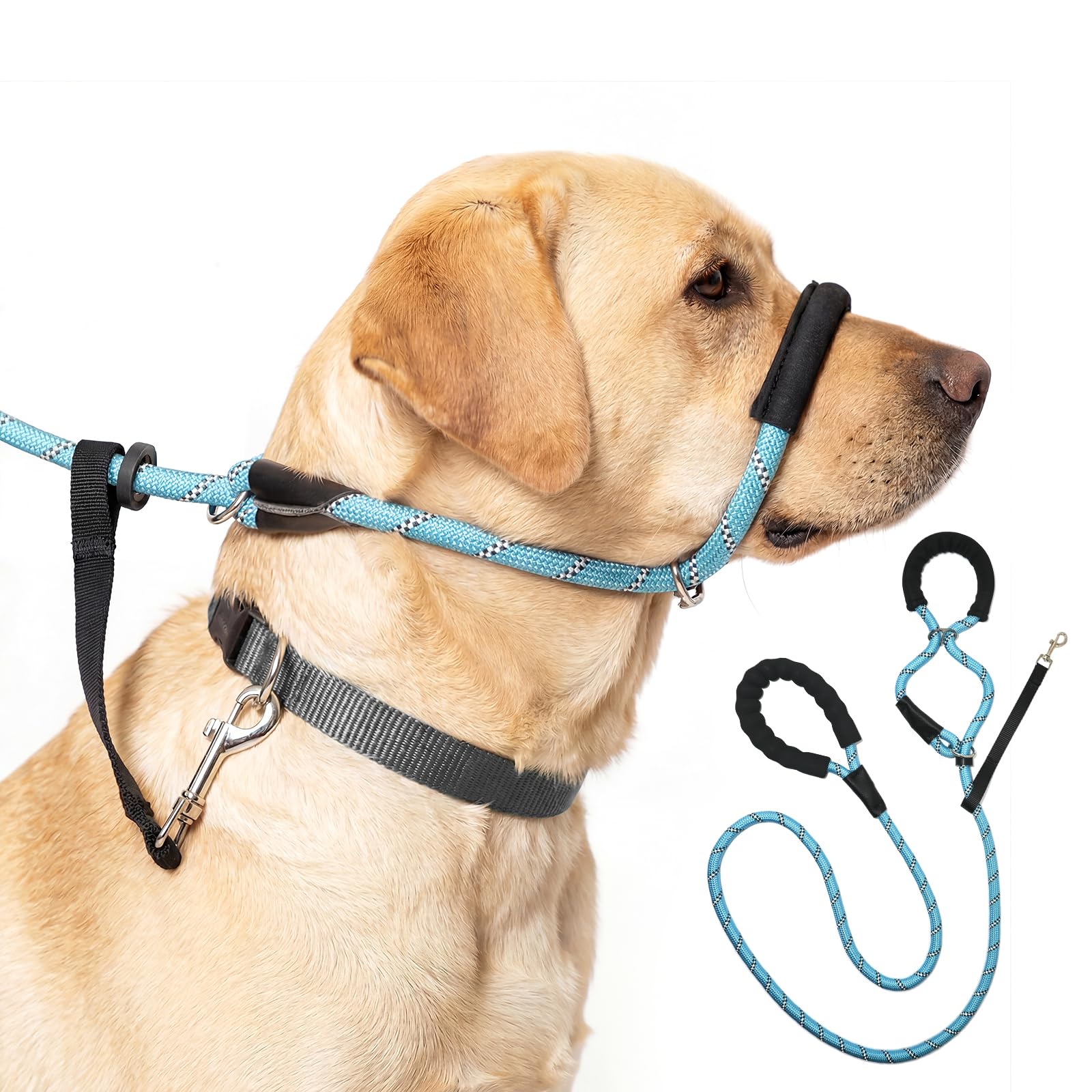 Cezlstesy Figure of 8 Dog Lead, Anti Pull Training Leash with Stopper, Slip Leads Reflective with Padded Nose Support (Blue)