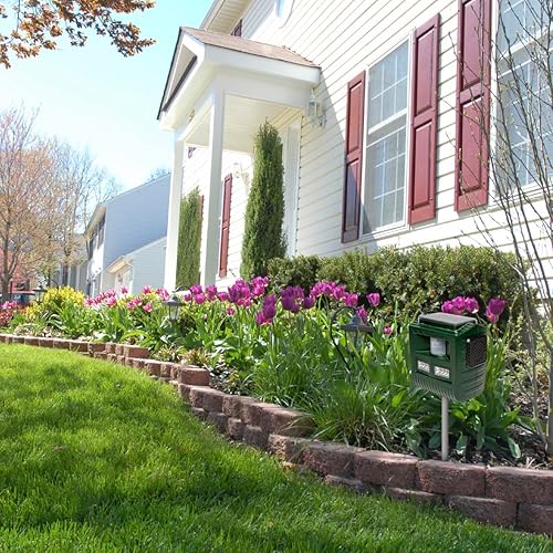 Miniatura 6 de Bird B Gone MMYARD Solar Yard Shield UltrasónicoSonic Bird Animal Scare