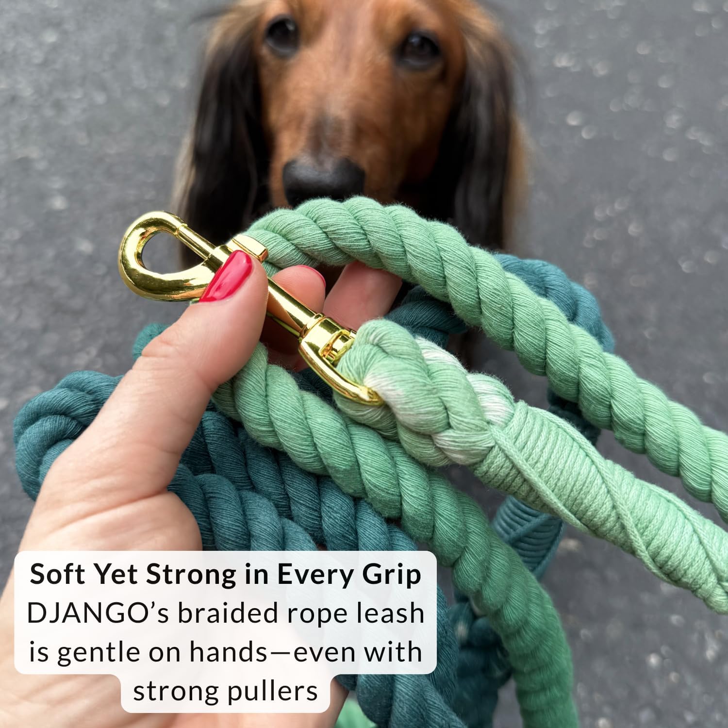 DJANGO Cotton Rope Dog Leash 5ft – Handcrafted Dog Leash and Green Braided Leash for Small, Medium, Large Dogs – Durable 5 Foot Training Lead with Gold Hardware and Whipped Ends – Forest Green Ombre